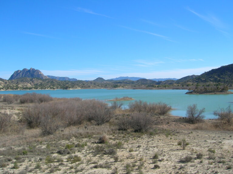 Acampada en Murcia