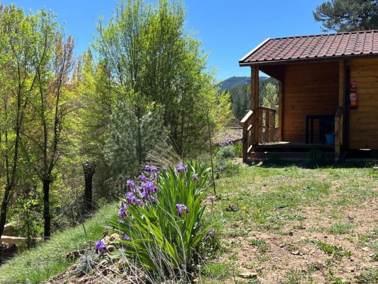 Campings baratos en Jaén