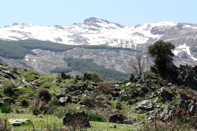 Sitios de acampada libre en Granada