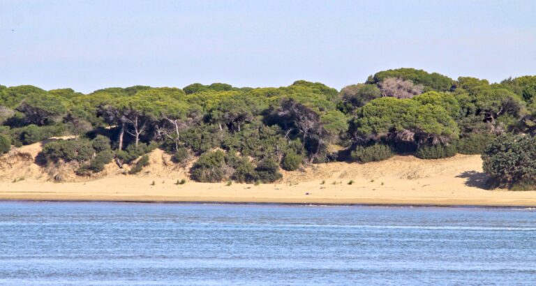 Acampada libre Huelva