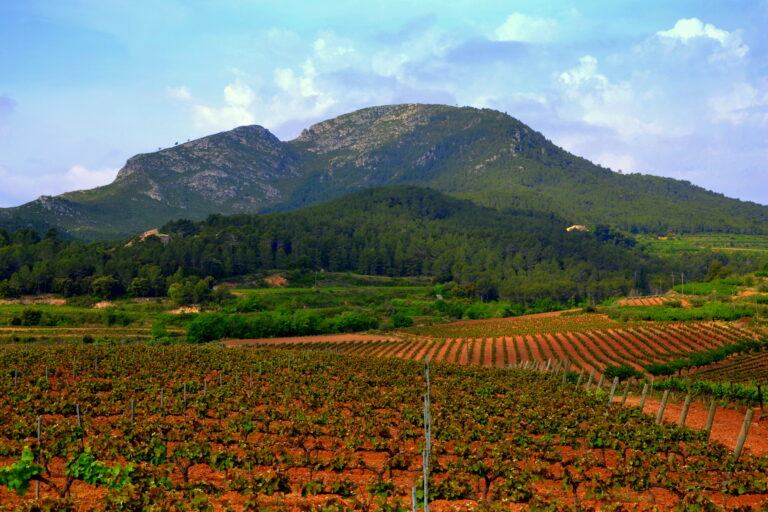 Acampada libre provincia de Tarragona