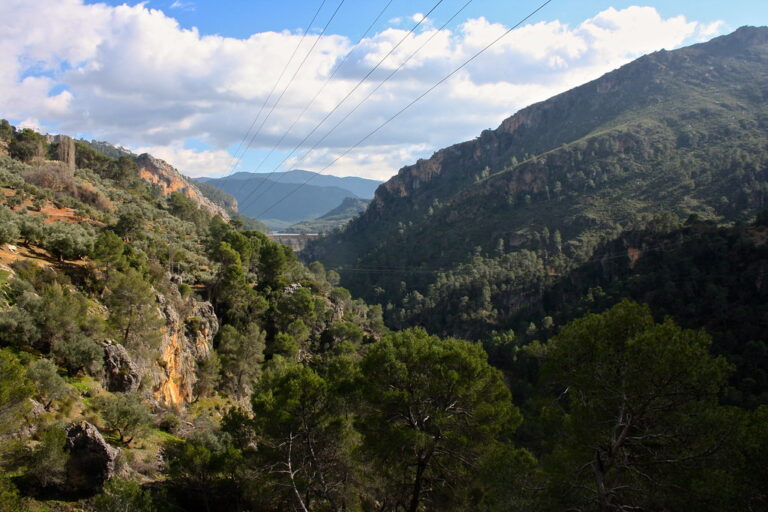 Acampar gratis en Albacete