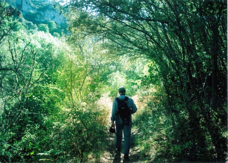 Acampada gratuita Burgos